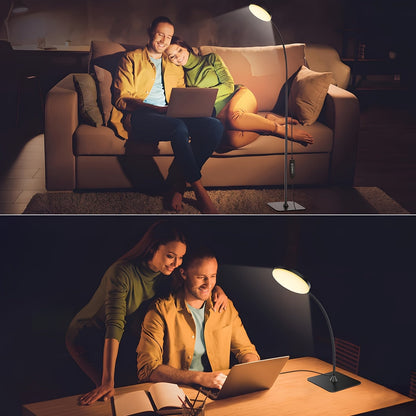 Versatile USB Powered Modern LED Floor Lamp with Adjustable Colors