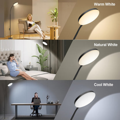Versatile USB Powered Modern LED Floor Lamp with Adjustable Colors